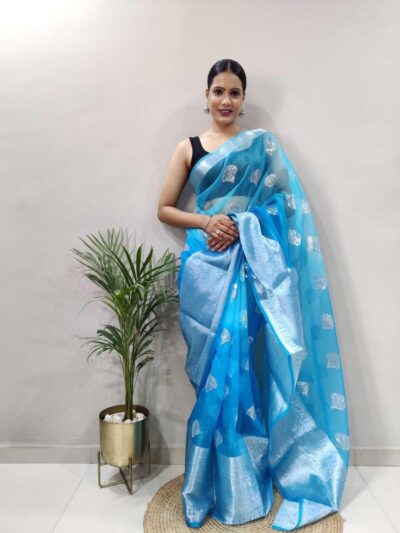 Organza Sarees-Blue Saree