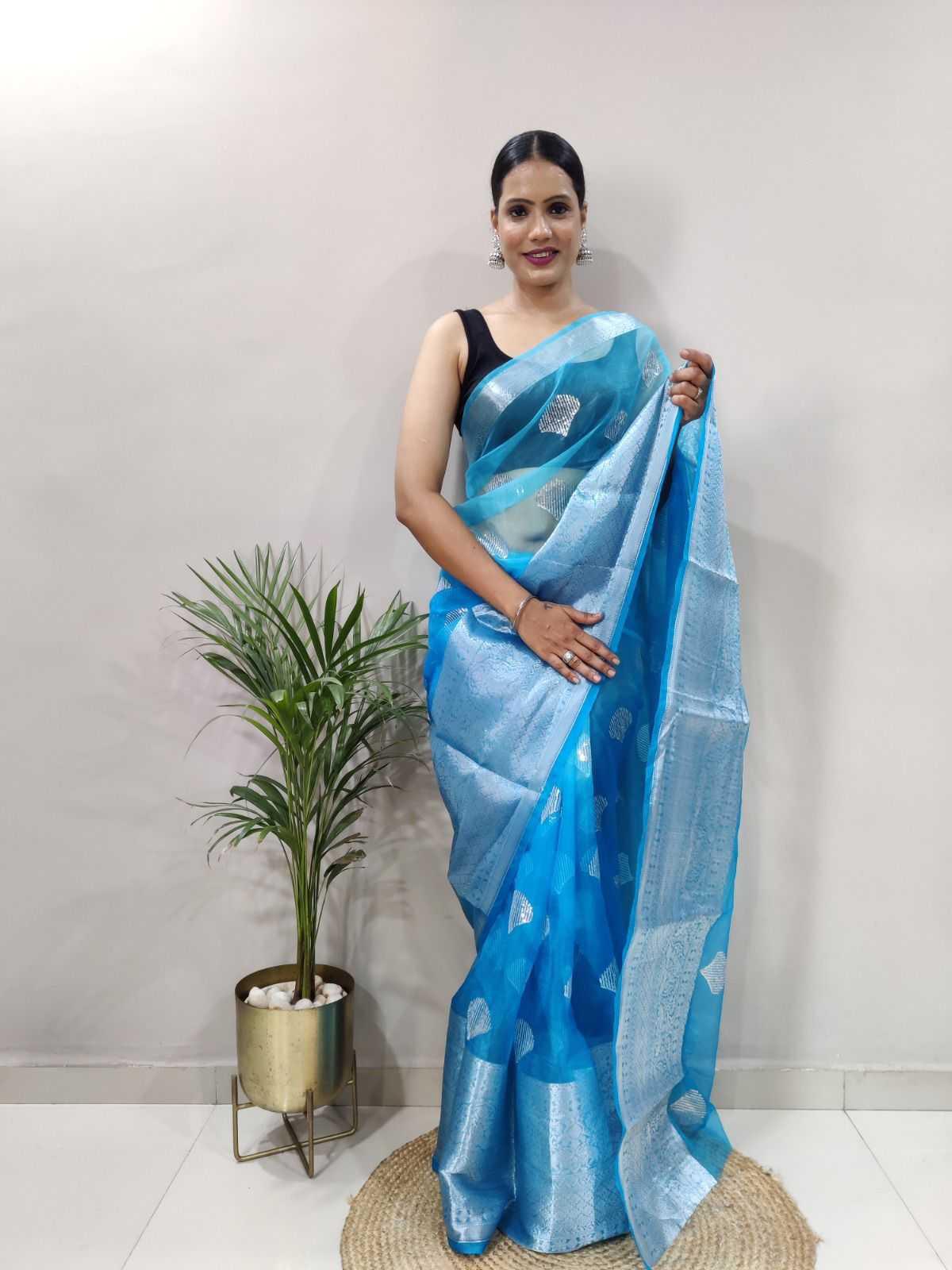 Organza Sarees-Blue Saree