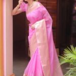 Organza-zari-saree