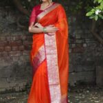 Organza-zari-saree