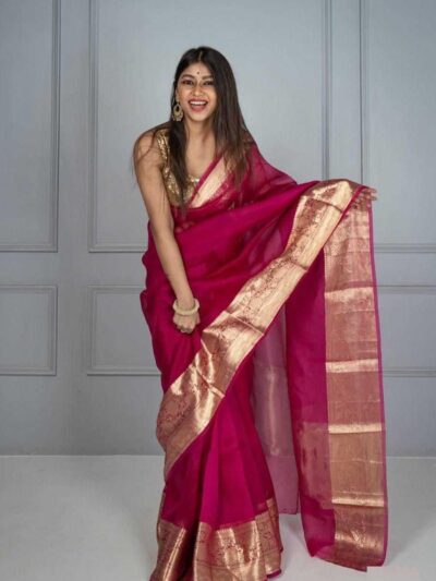 Organza-zari-saree