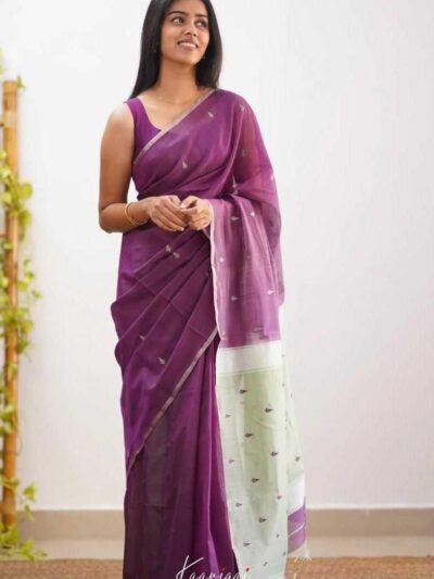 Jacquard-Zari-saree