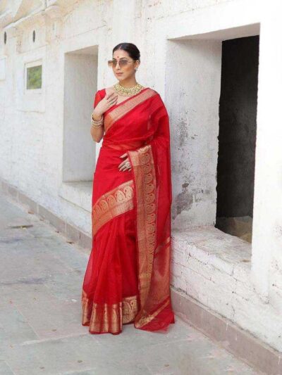 Organza-printed-designer-saree