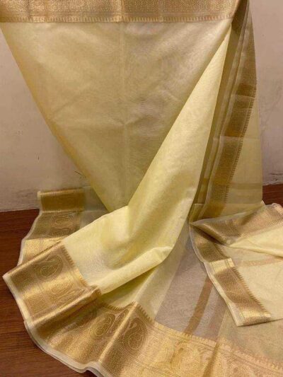 Organza-printed-designer-saree