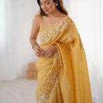 fancy-embroidery-cutwork-saree
