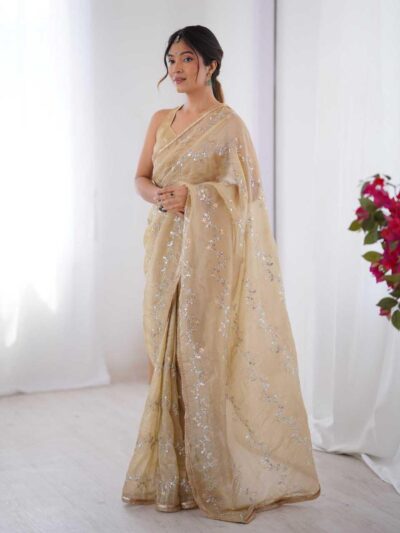 Embroidered Saree - Crush Fabric