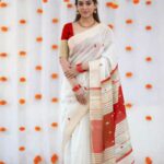 ikkat-zari-border-latest-saree